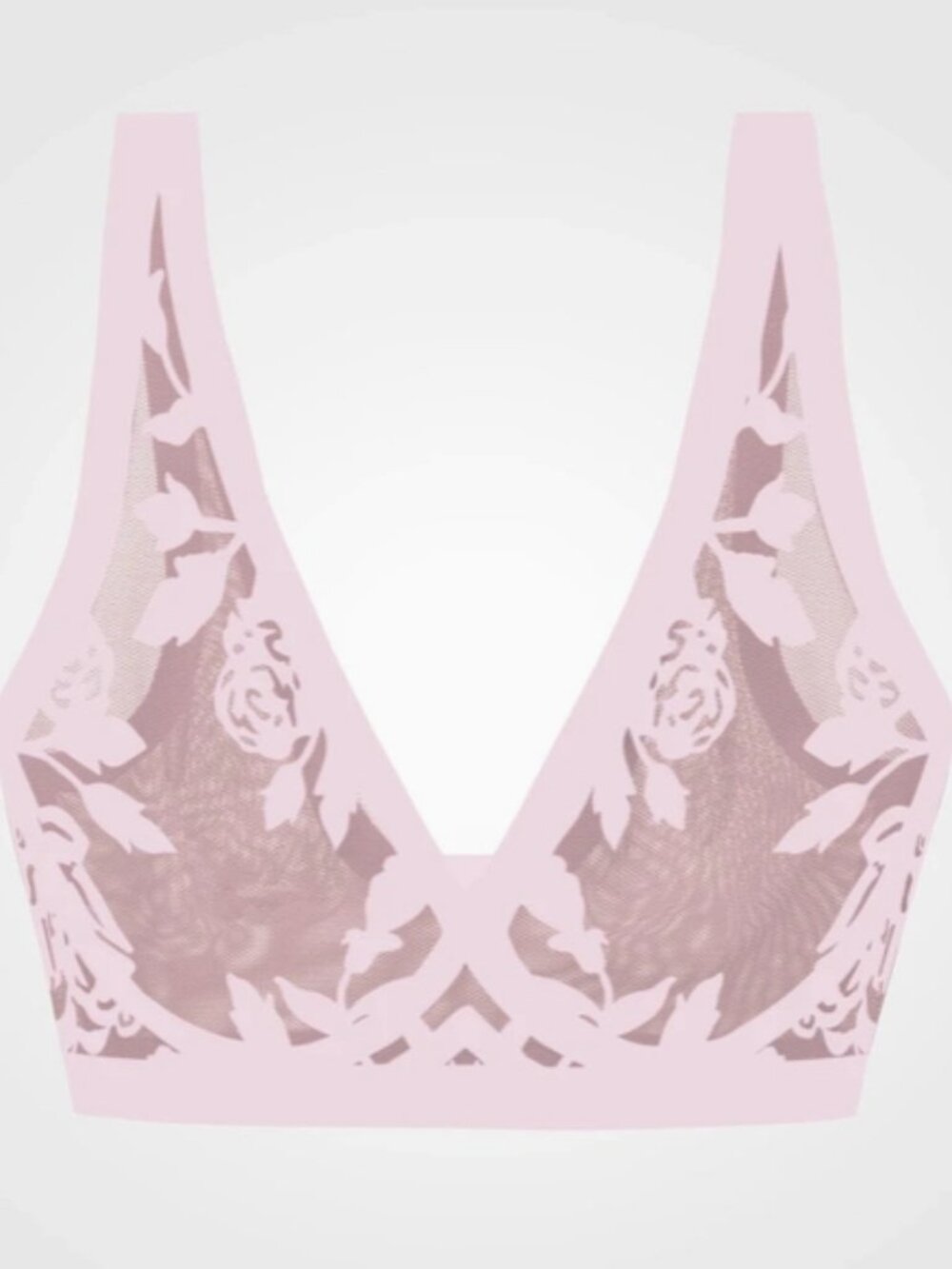 Sheer Flocked Bra: Madam Chic